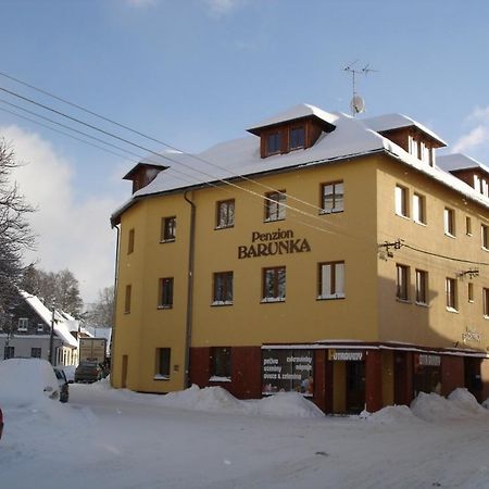 Penzion Barunka Vysoké nad Jizerou Εξωτερικό φωτογραφία